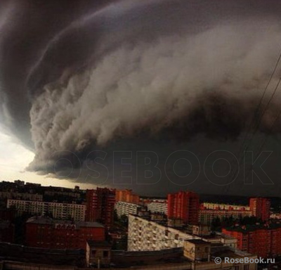 В Москву пришел страшный ураган: уже пострадал аэропорт. ФОТО