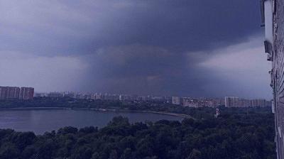 Ураган в Москве - очередной провал МЧС – DW – 30.05.2017