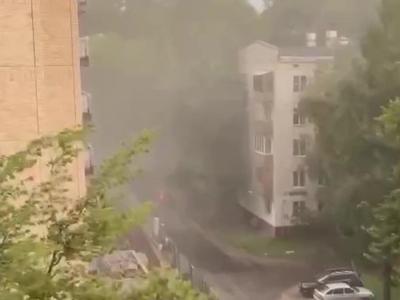 Жертвами урагана в Москве стали более десяти человек — РБК