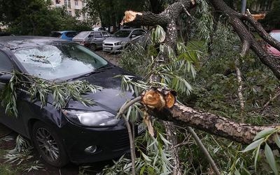 Синоптики рассказали, дойдет ли ураган из Курской области в Москву – Москва  24, 19.09.2022