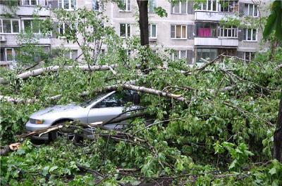 Ураган 1998 года в Москве: каким был один из самых сильных ударов стихии за  всю историю города | О Москве нескучно | Дзен
