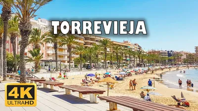 Торревьеха, Испания » Torrevieja LIVE - портал города Торревьеха