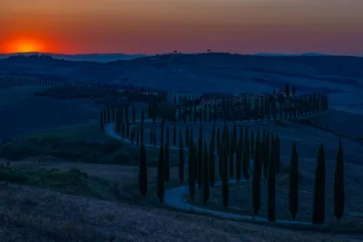 Италия. Тоскана. Утро у виллы Agriturismo Baccoleno. Photographer Aleksandr  Naumenko