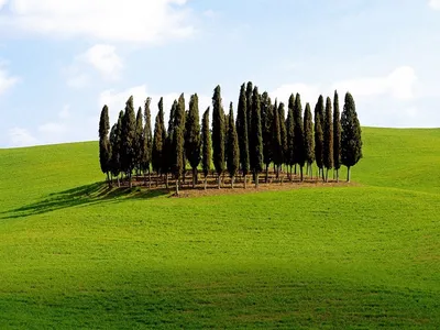 Landscape of Tuscany, hills and meadows, Toscana - Italy – Stock Editorial  Photo © Kesu01 #109905030