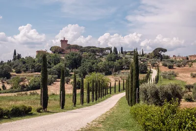 Toscana Resort Castelfalfi Reopens After Extensive Renovation | Travel  Agent Central