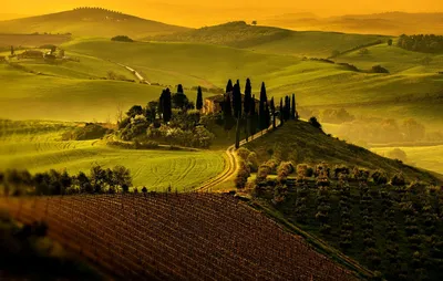 Maremma Toscana - Italian Wine Region | Wine-Searcher