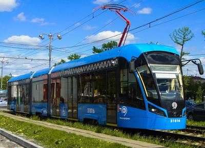 В новом году в Москву поставят 50 современных трамваев российского  производства / Новости города / Сайт Москвы
