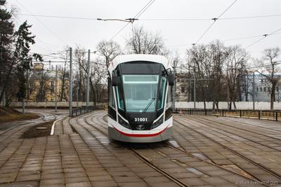 Агентство городских новостей «Москва» - Фотобанк