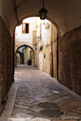 Трани (Италия) - «Южный итальянский город старинных церквей и узких  улиц.Атмосферно! (много фото)» | отзывы