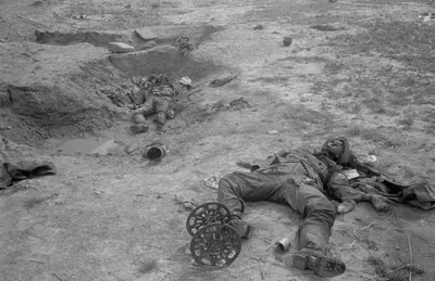 Тела убитых немецких солдат в степи на Украине [1] — военное фото
