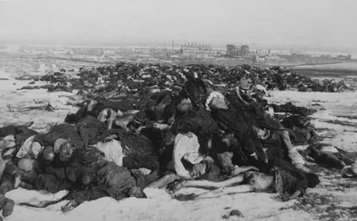Собранные тела немецких солдат, погибших во время Сталинградской битвы —  военное фото