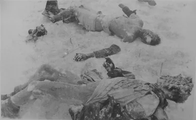 Изуродованные тела немецких солдат, погибших во время боев под Москвой —  военное фото