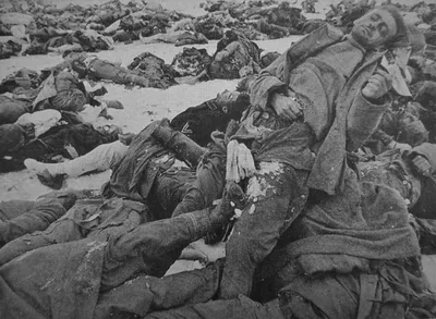 Собранные в груды тела немецких солдат, погибших в Сталинградском «котле» —  военное фото