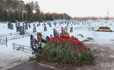 Кладбище немецких солдат погибших в советском Заполярье. Был поражён его  состоянием и ухоженностью | Пикабу
