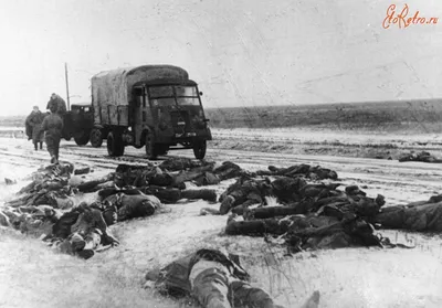 Тела убитых в рукопашной немецких солдат на улице Бреслау — военное фото