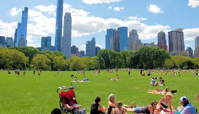 Центральный парк (англ. Central Park) в Нью-Йорке является одним из  крупнейших в США и известнейших в мире. Парк располож… | Центральный парк,  Путешествия, Нью-йорк