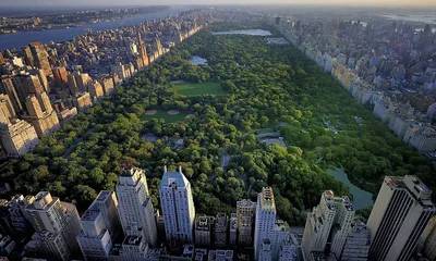 История Центрального Парка в Нью-Йорке (New York Central Park)