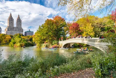 Центральный парк Нью-Йорка - Central Park New York - YouTube