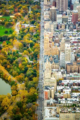Сколько тратит и как зарабатывает Центральный парк в Нью-Йорке