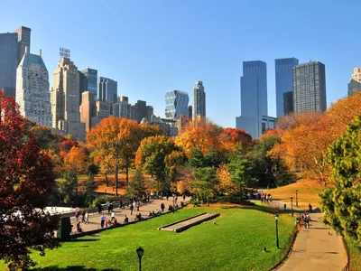 Центральный Парк в Нью-Йорке - Главный Парк в Нью Йорке (Парк Нью Йорк) -  YouTube