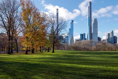 Скачать обои нью-йорк, центральный парк, new york, central park разрешение  1920x1080 #43540