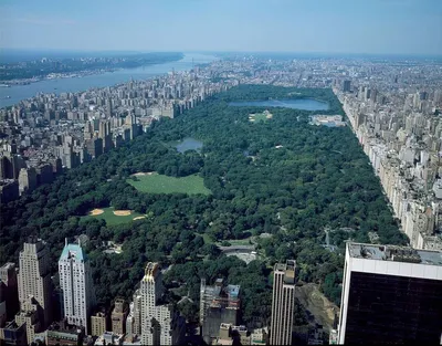 🏛️ Центральный парк Нью-Йорка: этого вы о нем не знали | Smapse