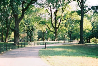 Центральный Парк Нью-Йорк - Бесплатное фото на Pixabay - Pixabay