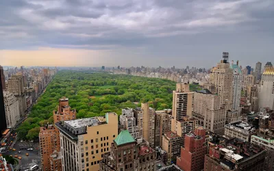 Апартаменты с видом на Центральный парк в Нью-Йорке | AD Magazine