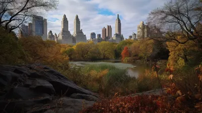 Скачать обои нью-йорк, центральный парк, new york, central park разрешение  1920x1200 #43066