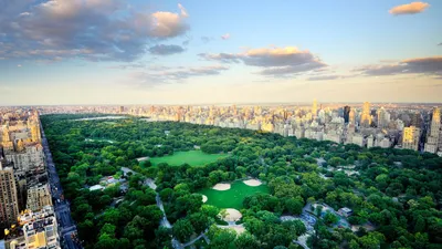 Нью Йорк достопримечательности. Центральный парк и Бруклинский мост—  Malexeum.com