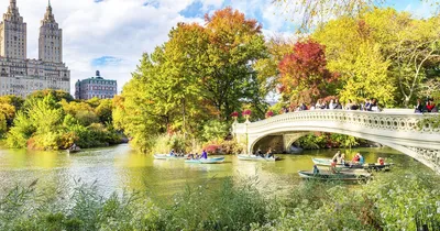 США Нью-Йорк Центральный парк - «Волшебное место или все же визитная  карточка города?! Зеленый островок посреди бурлящего Нью-Йорка» | отзывы