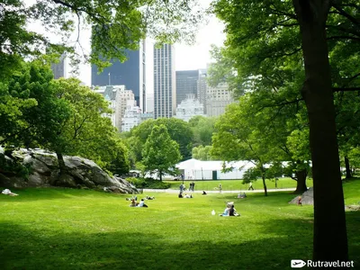 Пентхаус с видом на Центральный парк в Нью-Йорке выставлен на продажу: фото  - Новости Украины и мира - Дизайн 24