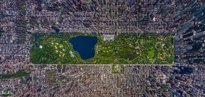 Центральный парк в Нью-Йорке: фото, описание, интересные места