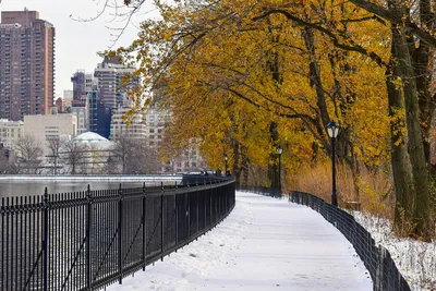 Центральный парк (Central Park) Нью-Йорк остров Манхэттен. Самый знаменитый  и самый \"снимаемый\" парк в м… | New york from above, New york photos,  Aerial photography