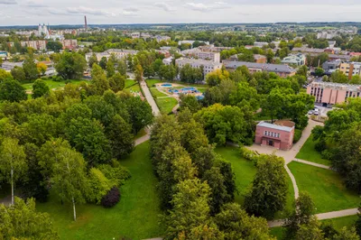 Центральный парк Нью-Йорка в зимнем времени Редакционное Стоковое  Изображение - изображение насчитывающей потеха, ново: 151730434