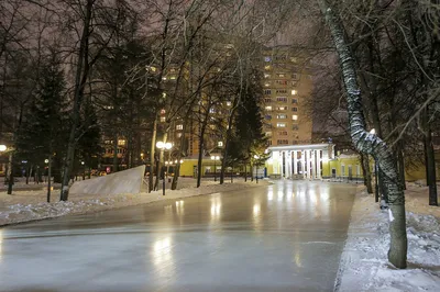 Центральный парк (Новосибирск): фото и отзывы — НГС.ТУРИЗМ