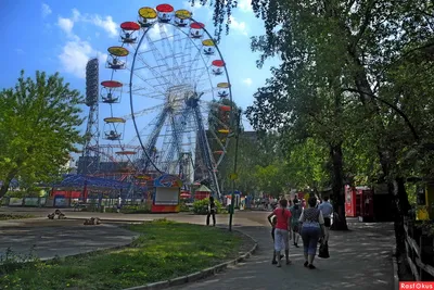 Презентация Центральный парк Новосибирск — Блог Милы