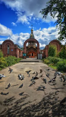 Католическая община Новосибирска простилась с Бенедиктом XVI (+ ФОТО) |  \"Сибирская католическая газета\"