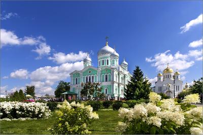 В католической церкви Самары пройдет органный концерт | Sobaka.ru