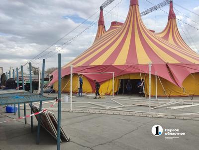 Стало известно, почему ремонт челябинского цирка растянулся на годы |  Уральский меридиан