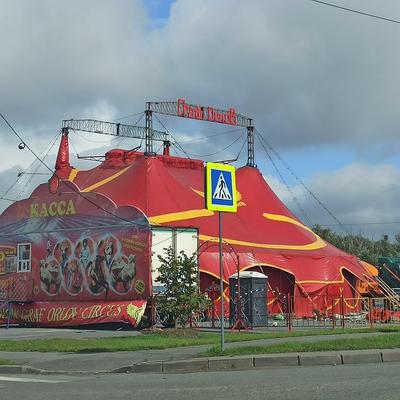 Цирк Челябинска: афиша Февраль 2024, цены, официальный сайт, как добраться,  фото и видео, отели рядом – на Туристер.ру