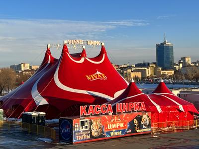 Зоозащитники выступили против гастролей цирка «Золотой дракон» в Челябинске