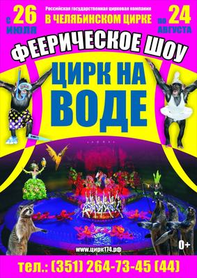 В Челябинск приедет всемирно известный Цирк братьев Гетнер - Я Покупаю