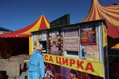 Открытие цирка в Челябинске в 2024 году: капитальный ремонт, новые  скульптуры и сухой фонтан - KP.RU