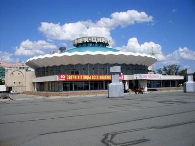 В Челябинске закроют цирк - KP.RU