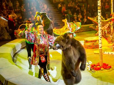 В Челябинске в этом году глобально отремонтируют цирк и театр | Челябинский  Обзор