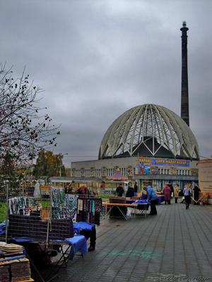 Цирк Екатеринбург фото фотографии