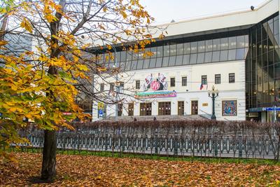 Московский Цирк Никулина, Москва - «Прекрасное представление \"Почти  серьезно\". Делюсь свежими впечатлениями от похода в легендарный цирк  Никулина » | отзывы