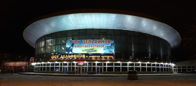 Новосибирский цирк. Типовой... - Новосибирск, Россия - Фото 16 - ФотоТерра