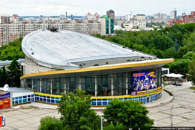 Цирк в Новосибирске - Новосибирская область - фото